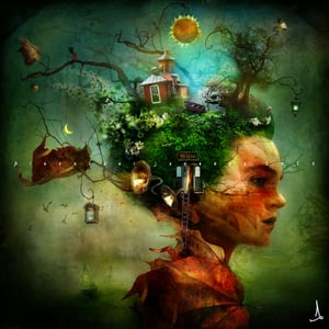 "The Grove" - Alexander Jansson Shop