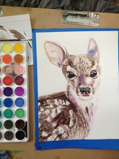 Image of fawn