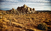 Rave Runs - Joshua Tree