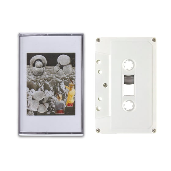 Image of NORTH2NORTH - CHEMICAL GARDEN CASSETTE + DIGITAL DOWNLOAD