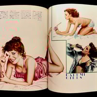 Image 4 of Illustration magazine special Narumi Yamaguchi 
