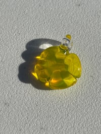 yellow transparent clover