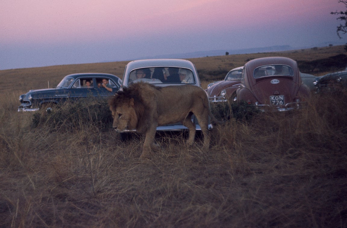 Image of A Car Full Of Nuns; Prey For Us