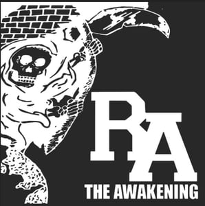 Image of The Awakening 7"