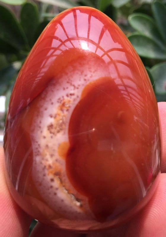 Image of Red Jasper Egg  3 peice set 