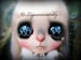 Image of OOAK Takara Custom Blythe Doll by Liquiriziadolly: Date w/ Blythe Auction