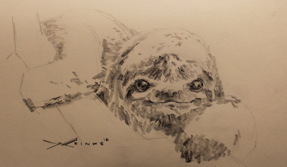 Image of Original Graphite Drawing - Sloth