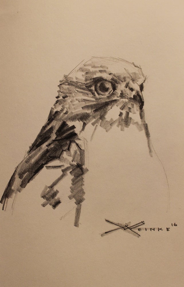 Image of Original Graphite Drawing - Red Tailed Hawk