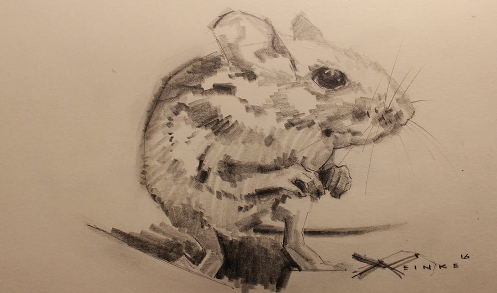 Image of Original Graphite Drawing - Field Mouse