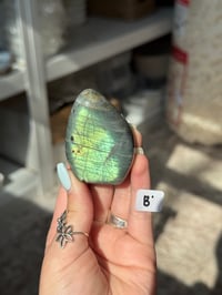Image 2 of CHOOSE YOUR OWN MINI LABRADORITE FREEFORM -MADAGASCAR-