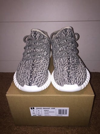yeezy boost 350 turtle