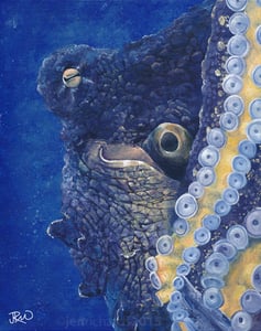 Image of Day octopus - Original painting