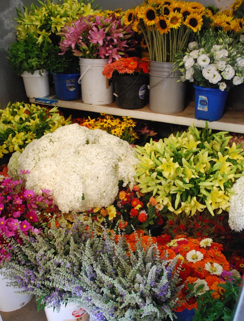 Image of Whitton Farms Full FLORAL CSA