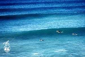 Image of Exeter Surf Club - Basic Surf Camp (inc booking fee)