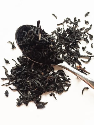 Image of Witch Of The Wilds