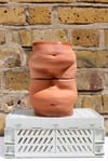 Belly Pot - Matte Terracotta 