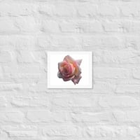 Image 4 of Floral Framed poster 2
