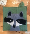 Image 1 of Raccoon Mugshot