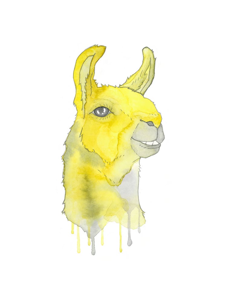 Image of yellow llama print