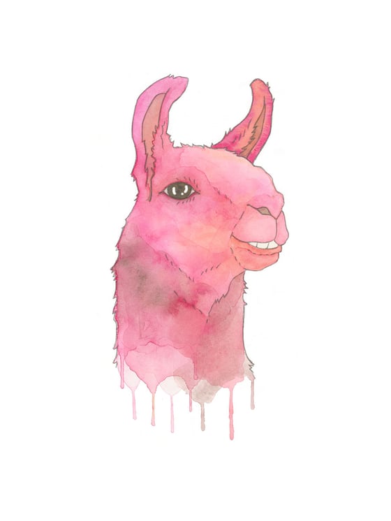 Image of pink llama print