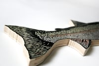 Image 3 of Kroll's Rainbow Trout
