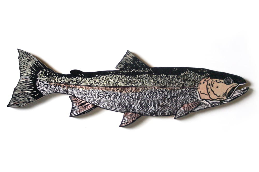 Image of Kroll's Rainbow Trout