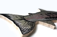 Image 2 of Campbell's Coho Salmon
