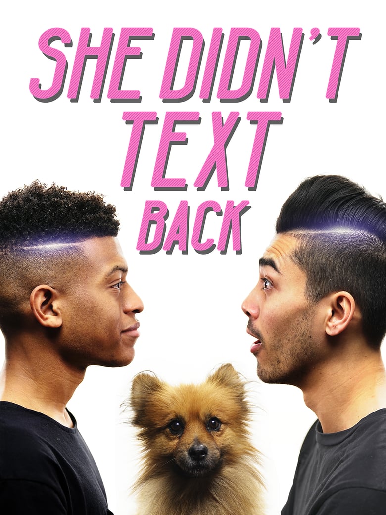 Image of She Didn't Text Back Poster