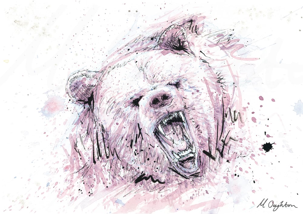Image of 'Black Bear 1' - PRINT