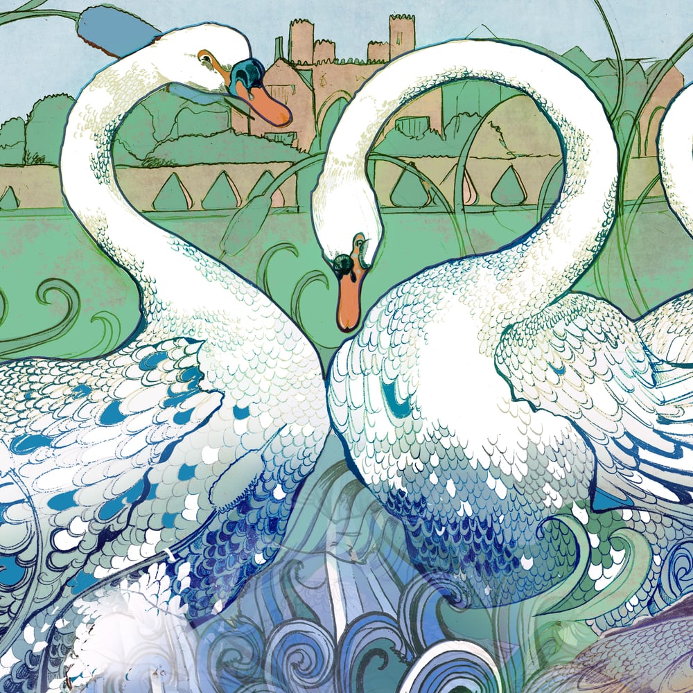 Image of A Beautiful Swan - Greetings Card