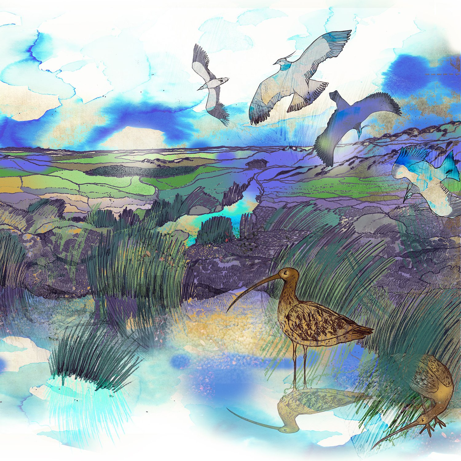 Image of High Moors - Greetings Card