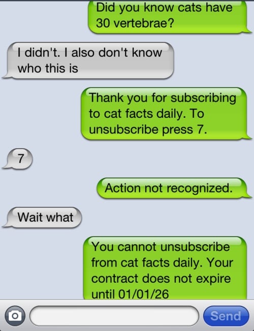 Image of The Prank Text Bomb!