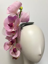 Image 1 of Lilac orchid trail