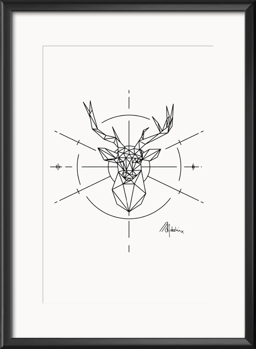 Image of Deer