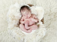 Image 2 of  Nest of Curls Blanket - IVORY 