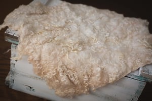 Image of Nest of Curls Blanket - MORNING LATTE 