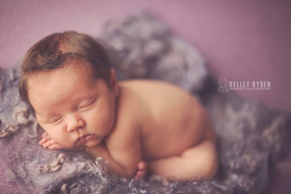 Image of Nest of Curls Blanket - LAVENDER FIELD