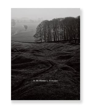 Al Brydon - As We Wander