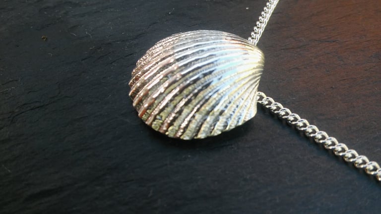 Cockle Shell Pendant Image 3