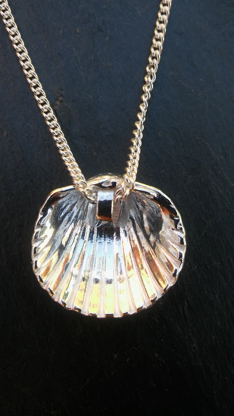 Cockle Shell Pendant Image 4