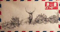 Air Mail Drawing #1