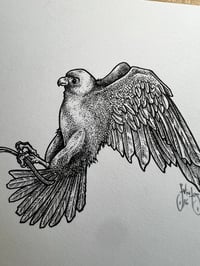 Image 1 of “Funeral Hawk”