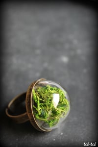 Image 1 of Bague "Pépinière"