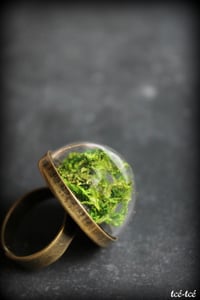 Image 2 of Bague "Pépinière"