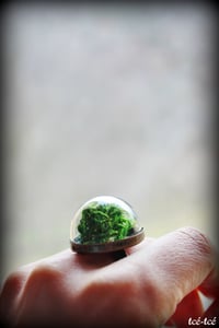 Image 3 of Bague "Pépinière"