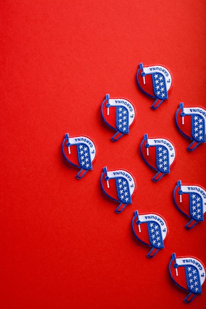 Image of Carolina Wren Patch