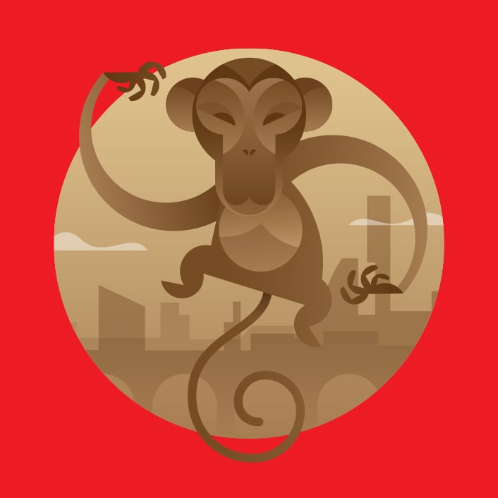 Year of the Monkey