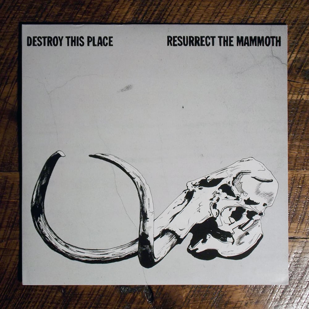 Image of Destroy This Place Resurrect the Mammoth Vinyl