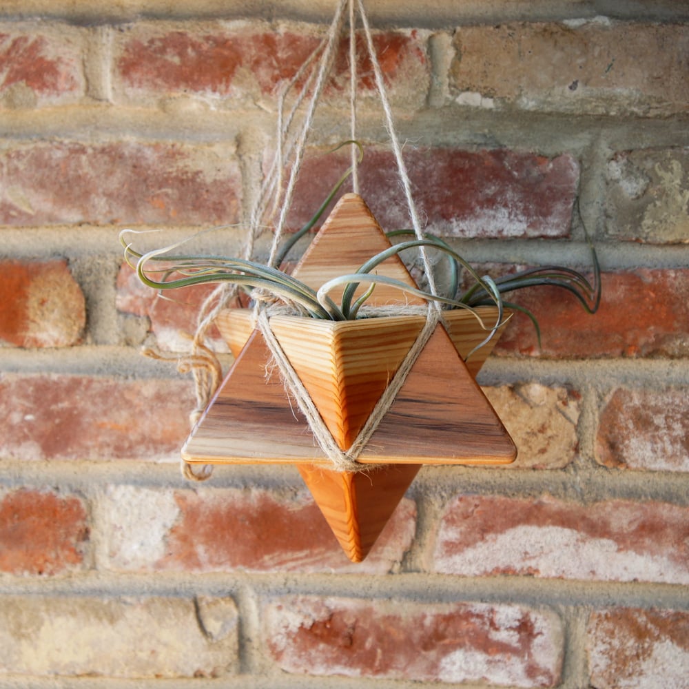 Image of NEW! Local Artist Baird Hand Made Wood Planters