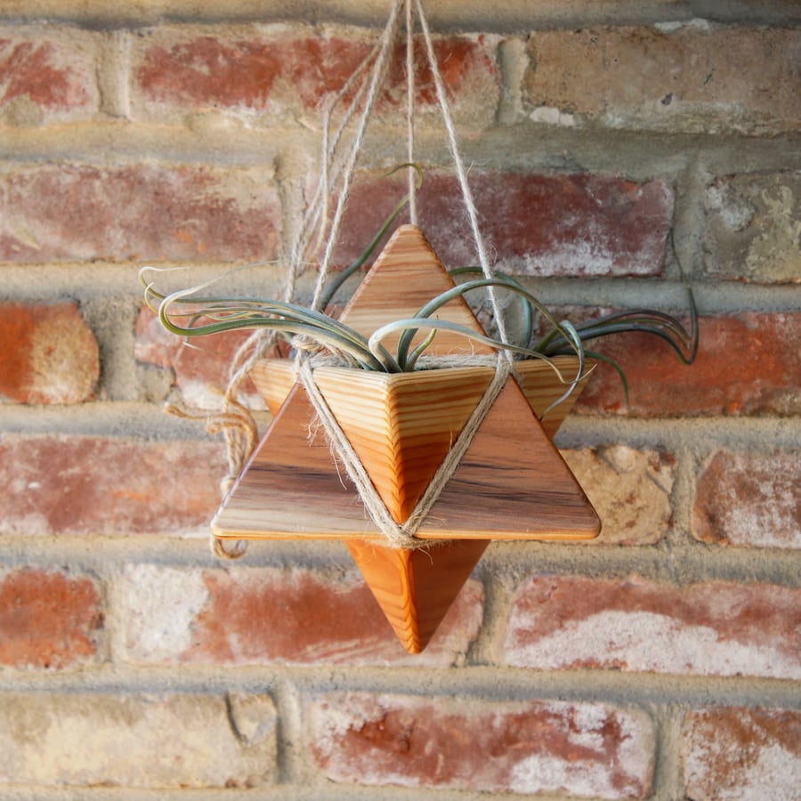 Image of NEW! Local Artist Baird Hand Made Wood Planters